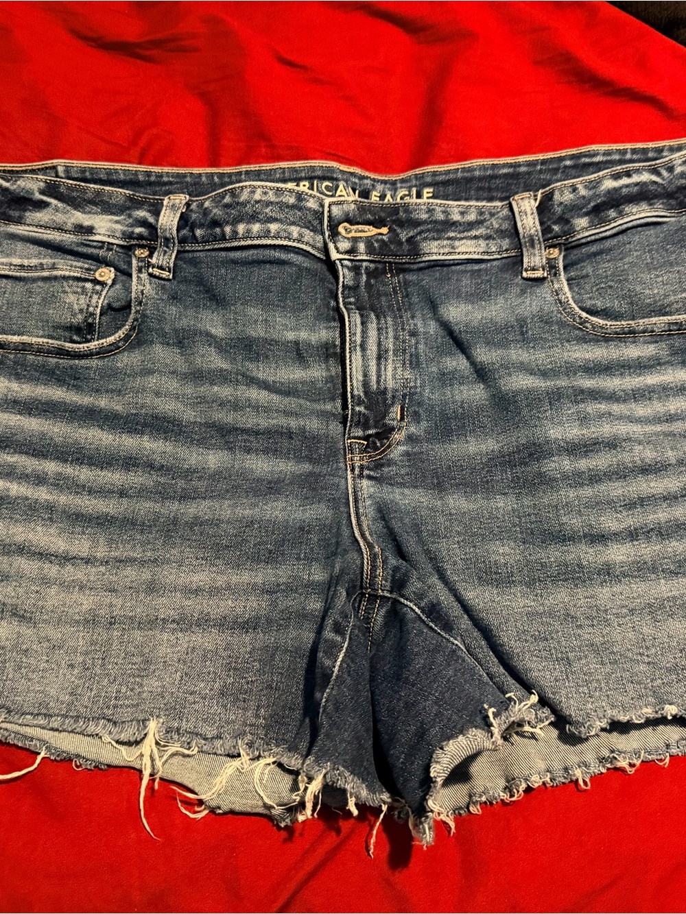 American Eagle Outfitters Blue Denim Shorts